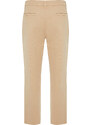 Trendyol Limited Edition Mink Regular Fit Pleated Detailed Soft Touch Chino Trousers