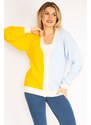 Şans Women's Plus Size Blue Knitwear Cardigan with Buttons and Button