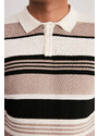 Trendyol Multi Color Regular Fit Striped Knitwear Polo Neck T-Shirt