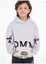 Dětská mikina Tommy Hilfiger šedá barva, s kapucí, s potiskem