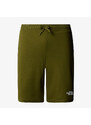 The North Face M GRAPHIC SHORT LIGHT-EU FOREST OLIVE