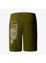 The North Face M GRAPHIC SHORT LIGHT-EU FOREST OLIVE