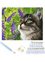 Malování podle čísel 30x40 cm - Kočka v poli