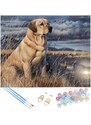 Malování podle čísel 40x50 cm - Labrador