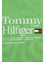 Dětská mikina Tommy Hilfiger zelená barva, s potiskem