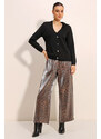 Bigdart Brown Shiny Fabric Trousers 6632