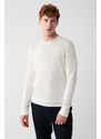 Avva Men's Ecru Knitwear Sweater High Crew Neck Viscose Regular Fit