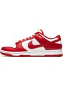 Nike Dunk Low USC