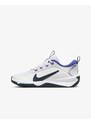 Nike Omni Multi-Court Big Kids WHITE