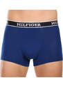 3PACK pánské boxerky Tommy Hilfiger vícebarevné (UM0UM03185 0SX)