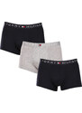 3PACK pánské boxerky Tommy Hilfiger vícebarevné (UM0UM03181 05K)