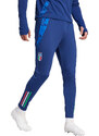 Kalhoty adidas FIGC TR PNT 2024 iq2163