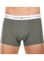 3PACK pánské boxerky Tommy Hilfiger vícebarevné (UM0UM02761 0XY)