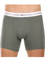 3PACK pánské boxerky Tommy Hilfiger vícebarevné (UM0UM02941 0XY)