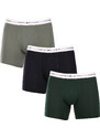 3PACK pánské boxerky Tommy Hilfiger vícebarevné (UM0UM02941 0XY)