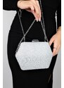 LuviShoes CUARTO Silver Silvery Women's Hand Bag