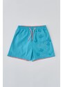 Dagi Turquoise - Salmon Micro Short Fish Patterned Magic Beach Shorts