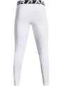 Pánské legíny Under Armour Cg Armour Leggings White