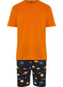 Trendyol Orange Regular Fit Printed Knitted Pajamas Set