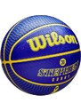Míč Wilson NBA PLAYER ICON OUTDOOR BSKT CURRY wz4006101xb