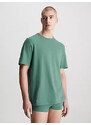 Spodní prádlo Pánská trička S/S CREW NECK 000NM2423EK6F - Calvin Klein