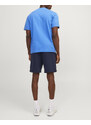 JACK&JONES JPSTGALE SWEAT SHORTS NAF