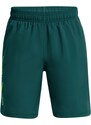 Šortky Under Armour UA Woven Wdmk Shorts-BLU 1383341-449