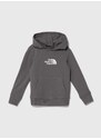 Dětská bavlněná mikina The North Face DREW PEAK LIGHT P/O HOODIE šedá barva, s kapucí, s aplikací