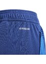 Kalhoty adidas FIGC TR PNT Y 2024 iq2161