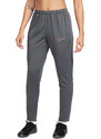 Kalhoty Nike W NK DF ACADEMY PANT dx0508-068