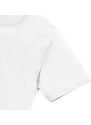 Mens Mens Pure Organic Heavy Tee Russell T-Shirt