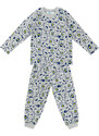 Denokids Super Dino Baby Boy Gray Pajamas Set