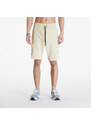 Pánské kraťasy The North Face Icons Cargo Shorts Gravel