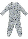 Denokids Super Dino Baby Boy Gray Pajamas Set
