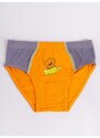 Yoclub Kids's 3Pack Boys' Briefs BMC-0034C-AA20-001