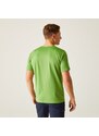 Pánské funkční tričko Regatta FINGAL VIII zelená