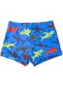 Yoclub Kids's Boy's Swimming Shorts LKS-0055C-A100