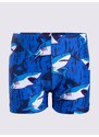 Yoclub Kids's Boys' Swimming Shorts LKS-0059C-A100