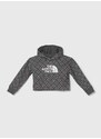 Dětská bavlněná mikina The North Face DREW PEAK LIGHT HOODIE PRINT šedá barva, s kapucí, vzorovaná