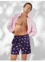 Koton Marine Shorts with Flamingo Print. A drawstring waist with pocket.