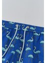 Dagi Sax Micro Short Flamingo Patterned Marine Shorts