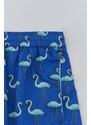 Dagi Sax Micro Short Flamingo Patterned Marine Shorts