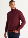 Altinyildiz Classics Full Turtleneck Men's Standard Claret Red Sweater 4A4924100058