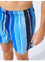 Koton Sea Shorts Color Blocked