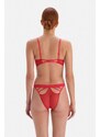 Dagi Red String Detailed Fishnet Brazilian Panties