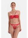 Dagi Red String Detailed Fishnet Brazilian Panties