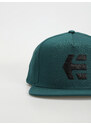 Etnies Icon Snapback (teal)