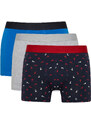 DEFACTO 3 piece Regular Fit Knitted Boxer