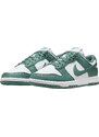 Nike Dunk Low WMNS Next Nature Bicoastal