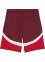 Šortky Puma SFV Shorts Replica 2024 773975-03